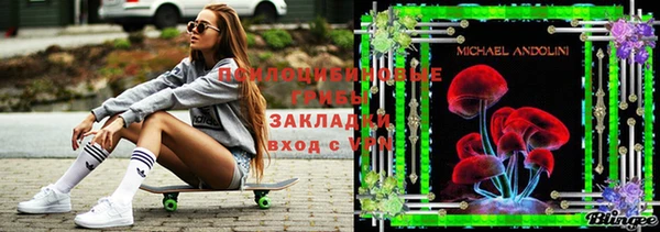 тгк Кулебаки