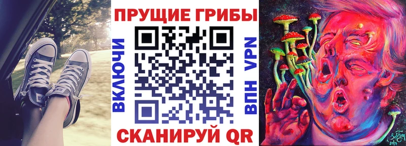 Псилоцибиновые грибы Psilocybine cubensis  Талица 