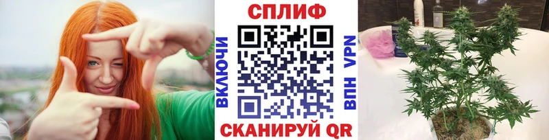 даркнет сайт  Талица  Шишки марихуана VHQ 